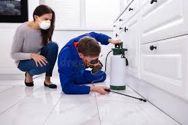 Real Estate Pest Inspections in Forest Ranch, CA